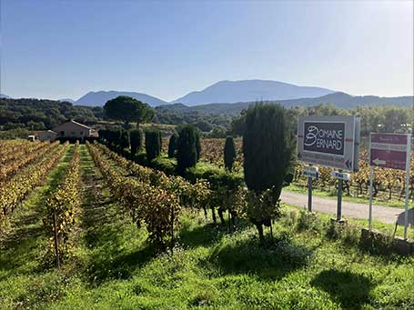 Journée ballade dans les vignes au domaine Bernard à Saint-Romain en Viennois