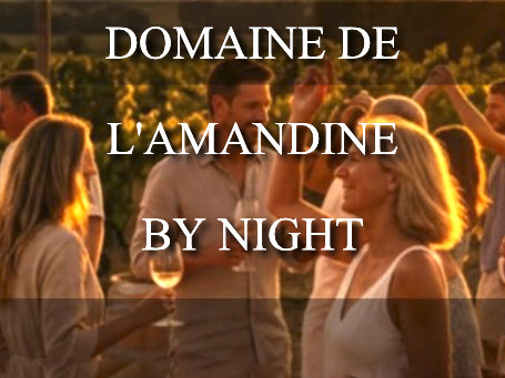 Soirée musicale au Domaine de l'Amandine à Séguret