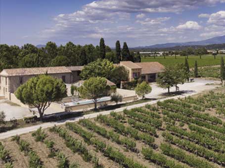 Domaine de la Camarette à Pernes les Fontaines, atelier initiation dégustation