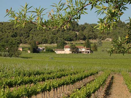 Domaine du Gros Pata à Vaison la Romaine, portes ouvertes.