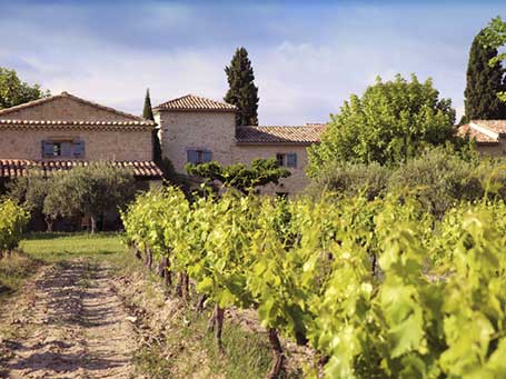Domaine de Mas Caron à Caromb