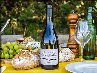 Domaine viticole Roche-Audran à Buisson dans le Vaucluse