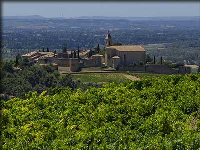 Producteurs de vin à Cairanne dans le Vaucluse