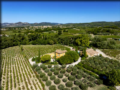 Domaine Dambrun à Caromb dans le Vaucluse