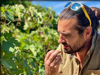 Olivier LEGRANGER, Domaine du Colibri à Caromb dans le Vaucluse