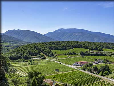 Producteurs de vin à Faucon en Vaucluse
