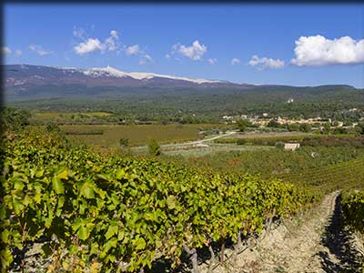 Flassan dans le Vaucluse terroir et vignoble du mont Ventoux