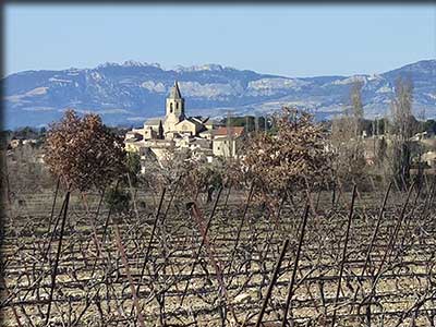 Mazan terroir et vignoble dans le Vaucluse
