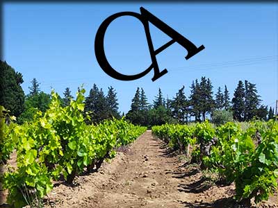Domaine CHABRAN Antonin à Sarrians dans le Vaucluse