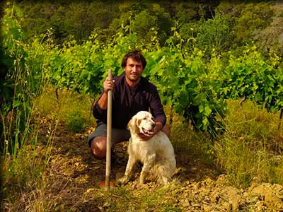 Domaine-fontaine-des-fees-seguret-vaucluse