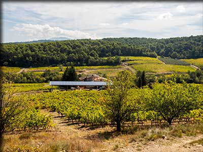 Domaine viticole Vins Laurent BELLION à Séguret dans le Vaucluse
