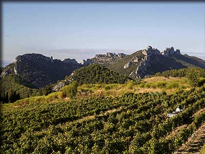 Domaine saint Amant à Suzette dans le Vaucluse, Dentelles de Montmirail
