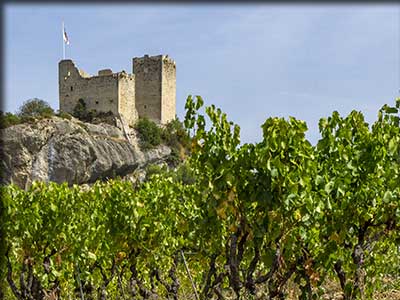 localisation-vaison-la-romaine-vaucluse-terroir-vignoble