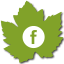 bouton lien facebook