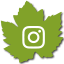 icone instagram