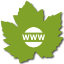 bouton lien site internet