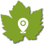 bouton géolocalisation Google Maps