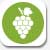 Icone producteur de vin partenaire de Lieux Divins
