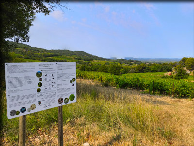 parcours découvertes domaine Roche Audran à Buisson