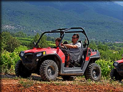 Excursion en Buggy d'un vignoble dans le Vaucluse