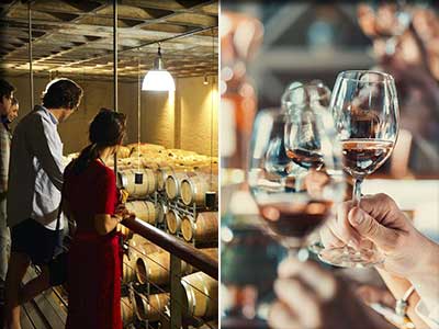 Activités et loisirs autour du vin dans le Vaucluse