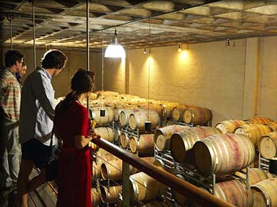 Visites d'exploitation viticole dans le Vaucluse