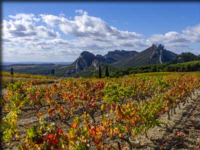 Routes des vins : Dentelles de Montmirail