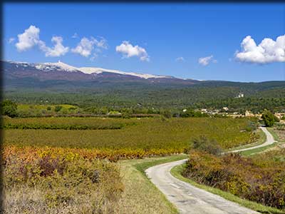 routes des vins dans le département de Vaucluse 84